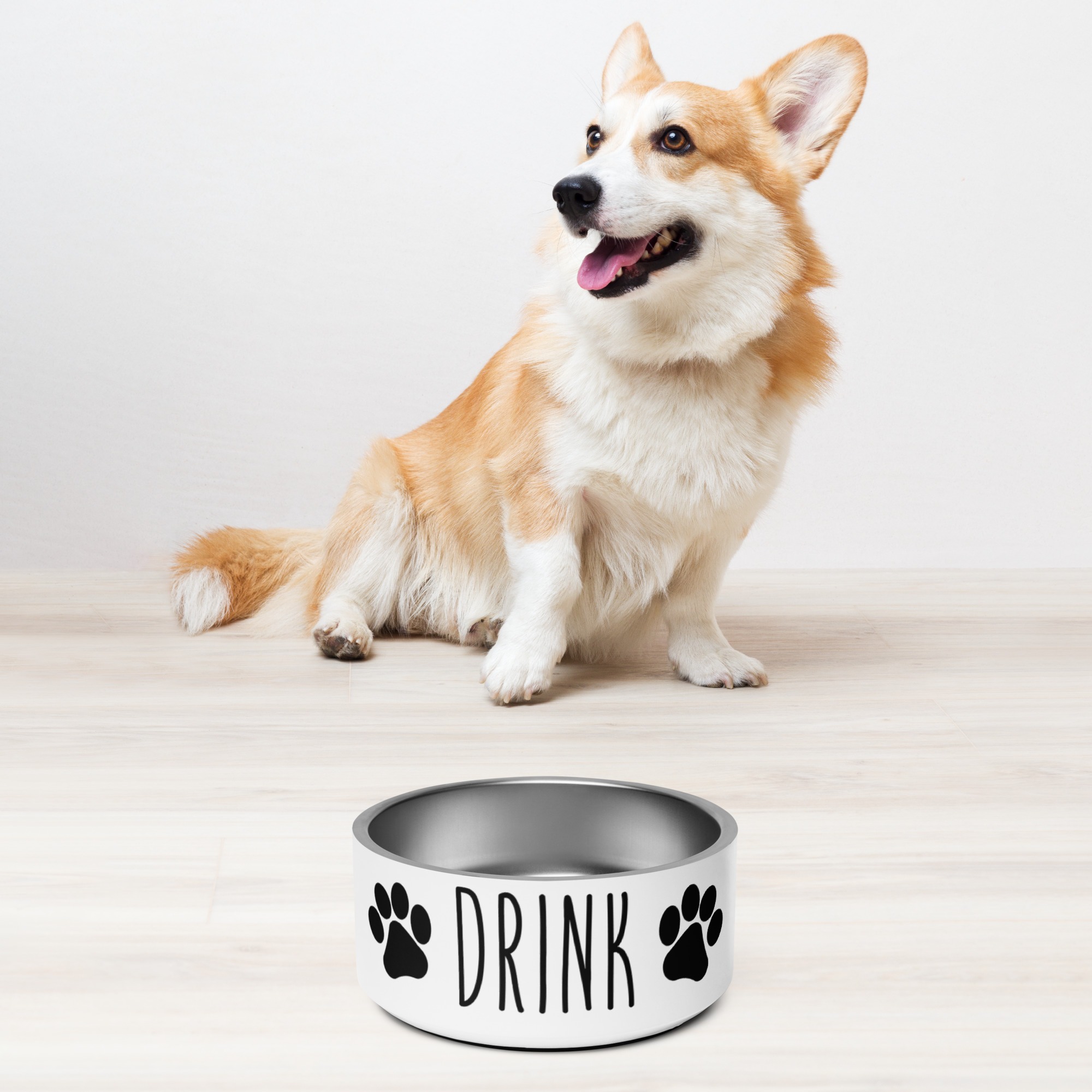 Drink 32oz Pet Bowl