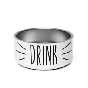 Drink 32oz Pet Bowl